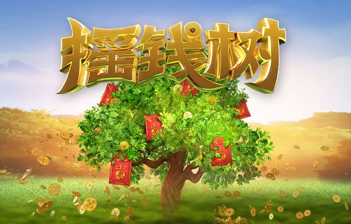 王中王资料大全枓大全正使用教程